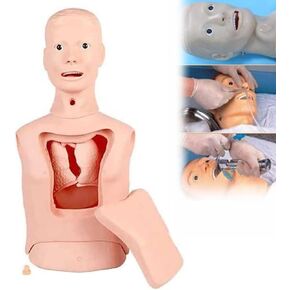 Intubation Gastric Tube Model Training Manikin Advanced Nasogastric Tube and Trachea Care Model Gastric Lavage Tracheostomy Model in Kuwait