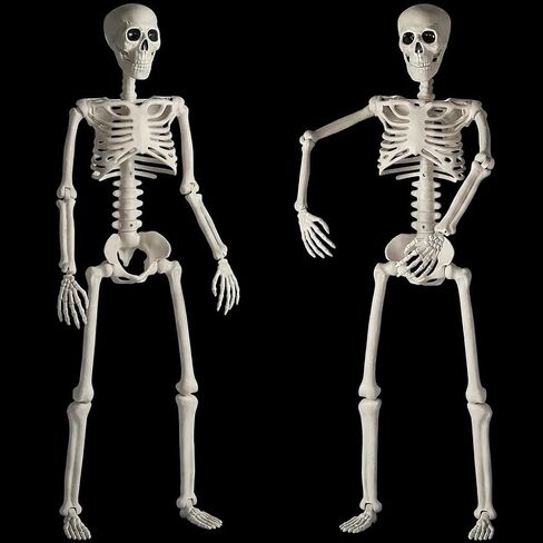 HBSTK 2 Pack 40 Inches Halloween Skeleton Life Size Full Body Posable Movable Jonints for Halloween Decoration Décor in Kuwait
