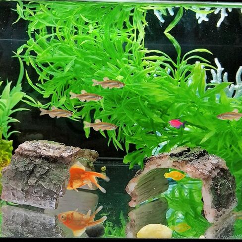 2 Pack Betta Log Resin Hollow Tree Trunk Ornament, Aquarium Hideout Reptile Cave Ornament Terrarium Fish Tank Decoration for Fish Shrimp or Small Reptile Turtle Tarantula in Kuwait