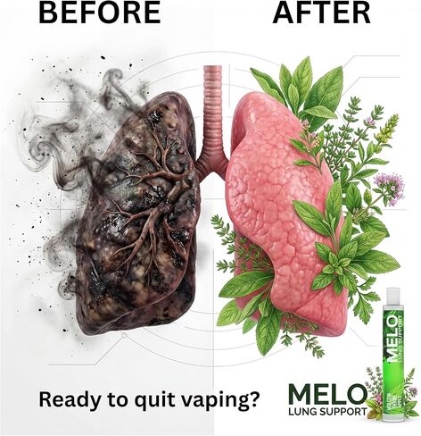 Nicotine Free Vapors Pens - Lung Detox & Cleanser Support with 600 Uses, Natural Apple, Thyme & Mullein Herbal Pen, Quit Smoking Inhaler Stick - All Natural, Healthy Inhaler in Kuwait