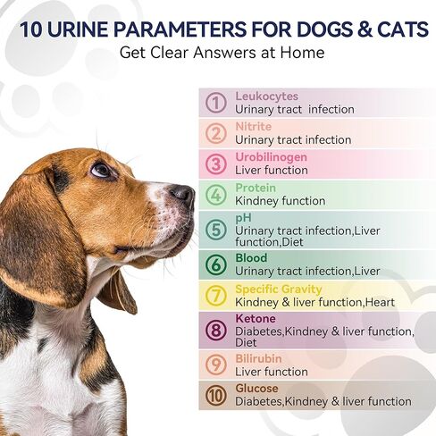 10-in-1 Cat & Dog Urine Test Strips, Cat & Dog UTI Test Kit, Pet Urinalysis Reagent Strips Diabetes, Glucose, Nitrite, Specific Gravity, pH, Protein, Leukocytes & More (60 Strips) in Kuwait