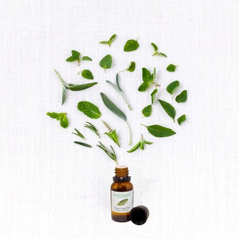 Clove Leaf Essential Oil 100% Pure - 4oz in Saudi Arabia