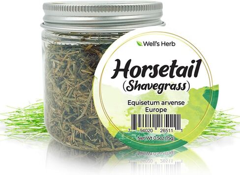 Well's Oil Dried Herb Horsetail | 100% Natural Horsetail Herb | DIY Herbal Infusion Ingredient | Cosmetic Use Only | 0.5 Ounce (14 Gram) in Saudi Arabia