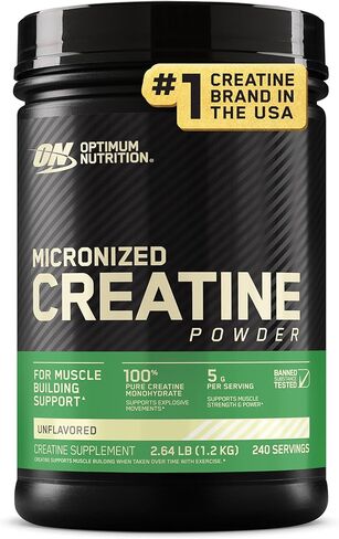 Optimum Nutrition Micronized Creatine Monohydrate Powder, Unflavored, 120 Servings, 600 Grams (Packaging May Vary) in Saudi Arabia