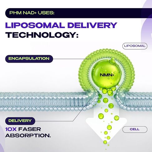 NMN Supplement with NAD+ and Resveratrol - 10,000MG Extra Strength | NMNH Alternative | NAD Liposomal Supplements for Men and Women - Supports Cellular Energy | 90 Capsules, 3 Months Supply in Kuwait