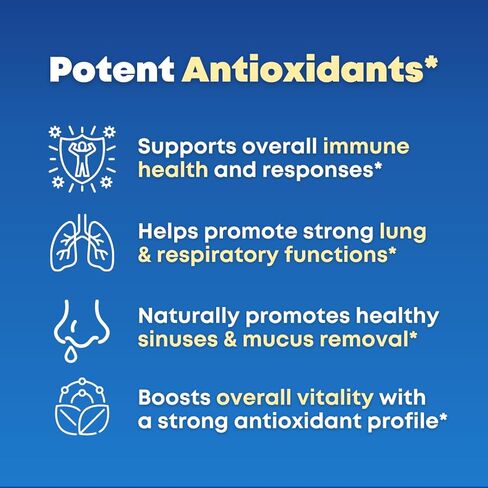 Mullein Leaf Extract & NAC Lung Detox Cleanse- N-Acetyl Cysteine, Marshmallow Root, Bromelain - Lung Health, Sinus, Mucus Removal Support Supplement for Smokers - 90 Capsules, Non-GMO, Gluten-Free in Kuwait