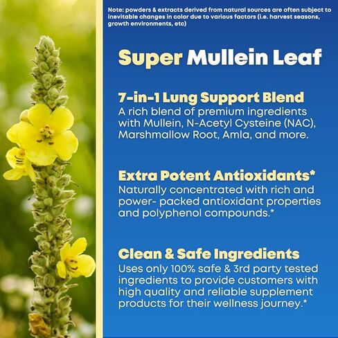 Mullein Leaf Extract & NAC Lung Detox Cleanse- N-Acetyl Cysteine, Marshmallow Root, Bromelain - Lung Health, Sinus, Mucus Removal Support Supplement for Smokers - 90 Capsules, Non-GMO, Gluten-Free in Kuwait