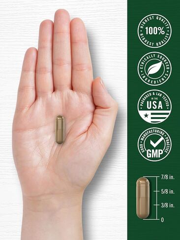 Carlyle Neem Leaf | 950mg | 120 Powder Capsules | Non-GMO and Gluten Free Formula | Value Size | Traditional Herbal Supplement | Azadirachta Indica in Saudi Arabia