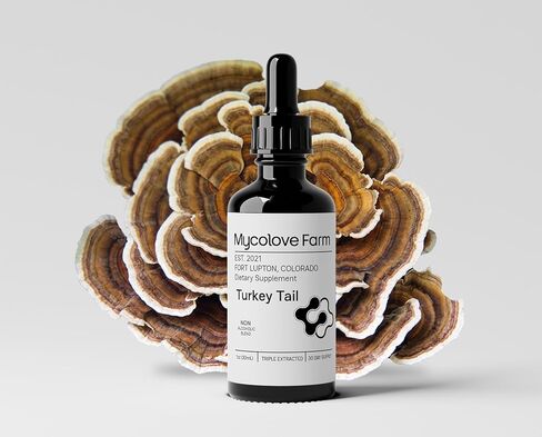 Mycolove Farm Organic Lion's Mane & Gotu Kola Tincture - Boost Mental Clarity - Fruiting Body Extract in Saudi Arabia