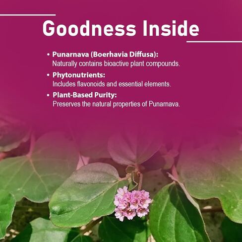 Punarnava Tablets by mi Nature| 90 Tablets, 1000 mg| 45 Days Supply| Herbal Tablets| Vegan | Boerhaavia diffusa| from India in Kuwait