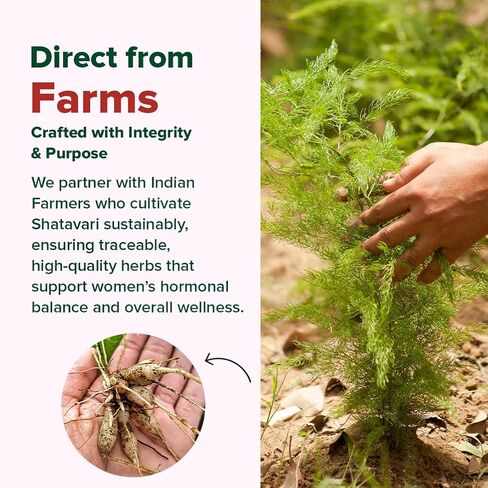 VAHDAM Shatavari Capsules 1000mg, Supports Healthy Hormonal Balance in Women, Herbal Supplement for Women, Vegan, Gluten-Free, 90 Capsules in Kuwait