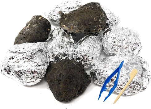 كريات بومة الحظيرة المميزة، كبيرة: 1.5 بوصة - 2.5 بوصة (عبوة من قطعة واحدة) - يتضمن مخطط تعريف العظام مجانًا وملقطًا واختيار مجداف ودليل التدريس! in Kuwait