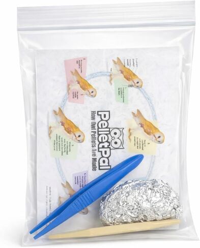 كريات بومة الحظيرة المميزة، كبيرة: 1.5 بوصة - 2.5 بوصة (عبوة من قطعة واحدة) - يتضمن مخطط تعريف العظام مجانًا وملقطًا واختيار مجداف ودليل التدريس! in Kuwait