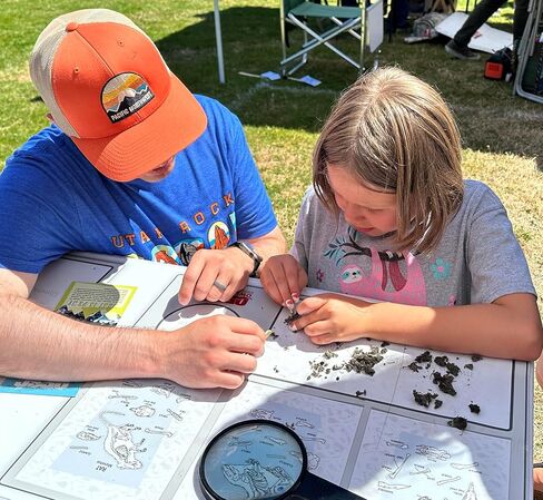 كريات بومة الحظيرة المميزة، كبيرة: 1.5 بوصة - 2.5 بوصة (عبوة من قطعة واحدة) - يتضمن مخطط تعريف العظام مجانًا وملقطًا واختيار مجداف ودليل التدريس! in Kuwait