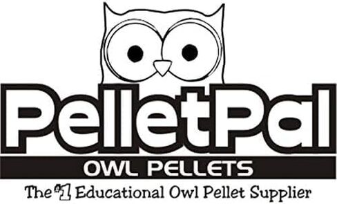 كريات بومة الحظيرة المميزة، كبيرة: 1.5 بوصة - 2.5 بوصة (عبوة من قطعة واحدة) - يتضمن مخطط تعريف العظام مجانًا وملقطًا واختيار مجداف ودليل التدريس! in Kuwait