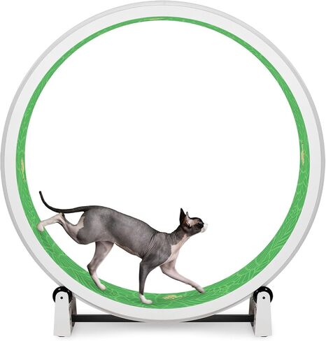 One Fast Cat - Cat Exercise Wheel - Gen. 7 - Safe 48" Diameter - Made in The USA - Black Wheel with Gray Felt Traction Pads and Solid Black Inline Wheels in Kuwait