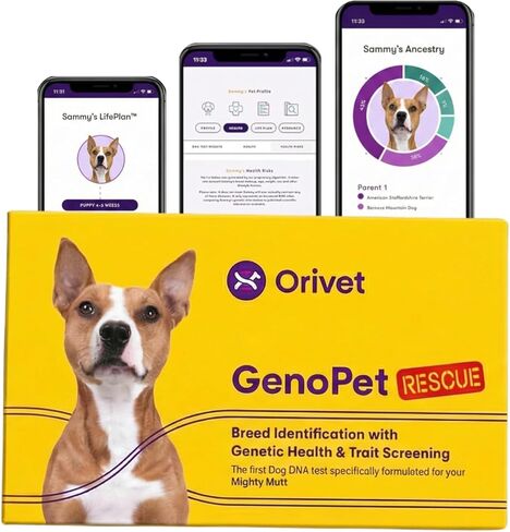 ORIVET GenoPet Dog DNA Test – Dog Breed Test Kit USA | Canine Ancestry & Genetic Health Screening by Age, Weight & Gender | at-Home Swab | Results in 14 Days After Activation in Saudi Arabia