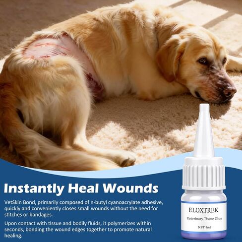 Veterinary Surgical Skin Glue 3ml, Strong Surgical Adhesive with 15 Precise Applicators, Blue-Tinted Pets Tissue Wound Glue, Fast-Acting Waterproof Wound Sealant for Dogs Cats in Kuwait