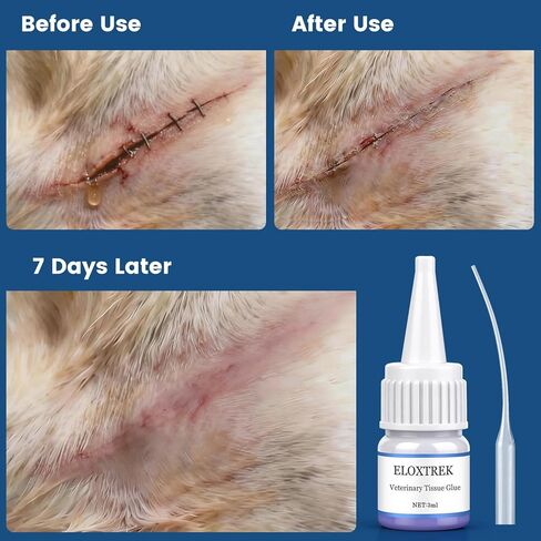 Veterinary Surgical Skin Glue 3ml, Strong Surgical Adhesive with 15 Precise Applicators, Blue-Tinted Pets Tissue Wound Glue, Fast-Acting Waterproof Wound Sealant for Dogs Cats in Kuwait