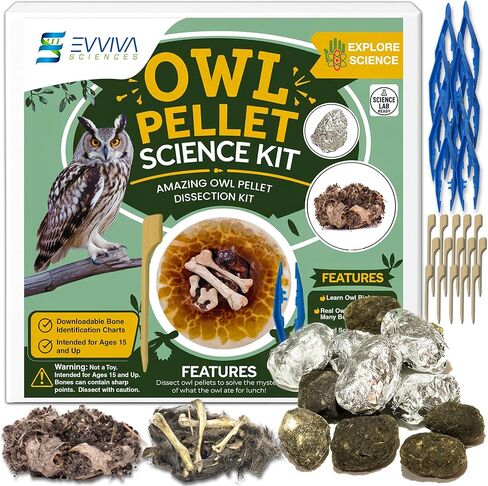 ES EVVIVA SCIENCES Owl Pellet Kit - Dissect 15 Mostly Small Real Owl Pellets w/Tools & PDF Bone Charts - Science Education Kit for Ages 15+ - Hands-On Animal Biology Science Lab Activity in Saudi Arabia