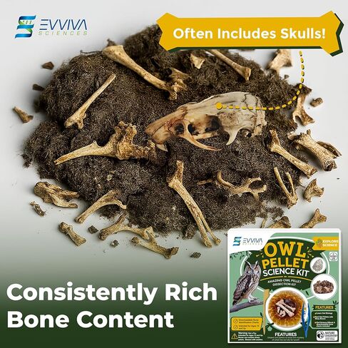 ES EVVIVA SCIENCES Owl Pellet Kit - Dissect 15 Mostly Small Real Owl Pellets w/Tools & PDF Bone Charts - Science Education Kit for Ages 15+ - Hands-On Animal Biology Science Lab Activity in Saudi Arabia