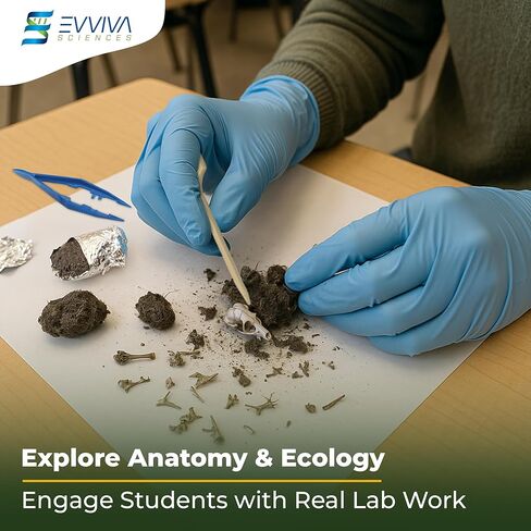 ES EVVIVA SCIENCES Owl Pellet Kit - Dissect 15 Mostly Small Real Owl Pellets w/Tools & PDF Bone Charts - Science Education Kit for Ages 15+ - Hands-On Animal Biology Science Lab Activity in Saudi Arabia