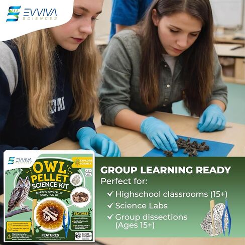 ES EVVIVA SCIENCES Owl Pellet Kit - Dissect 15 Mostly Small Real Owl Pellets w/Tools & PDF Bone Charts - Science Education Kit for Ages 15+ - Hands-On Animal Biology Science Lab Activity in Saudi Arabia