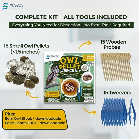 ES EVVIVA SCIENCES Owl Pellet Kit - Dissect 15 Mostly Small Real Owl Pellets w/Tools & PDF Bone Charts - Science Education Kit for Ages 15+ - Hands-On Animal Biology Science Lab Activity in Saudi Arabia