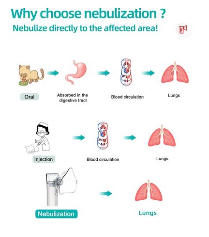 Portable Pet Nebulizer for Cats & Dogs - Handheld Cool Mist Steam Inhaler for Breathing Problems - USB Rechargeable for Home, Travel & Car Use - Veterinary Respiratory Relief Device in Kuwait