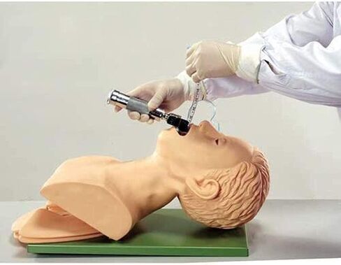 Oral Nasal Intubation Manikin Human Tracheal Intubation Electronic Model Teaching Model Professional Nurse Lab Airway Management Demo PVC Adult in Kuwait