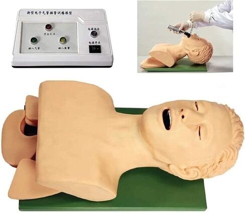 Oral Nasal Intubation Manikin Human Tracheal Intubation Electronic Model Teaching Model Professional Nurse Lab Airway Management Demo PVC Adult in Kuwait