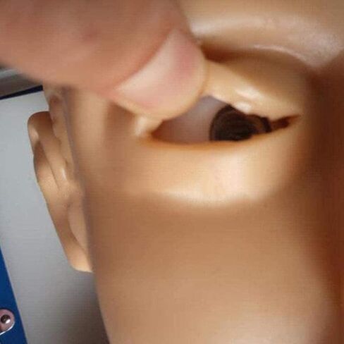 Oral Nasal Intubation Manikin Human Tracheal Intubation Electronic Model Teaching Model Professional Nurse Lab Airway Management Demo PVC Adult in Kuwait