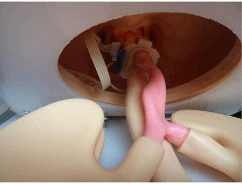 Oral Nasal Intubation Manikin Human Tracheal Intubation Electronic Model Teaching Model Professional Nurse Lab Airway Management Demo PVC Adult in Kuwait