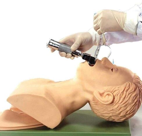 Training Manikin,Intubation Manikin Study Teaching Model Tracheal Intubation Teach Training Nurse Lab in Kuwait