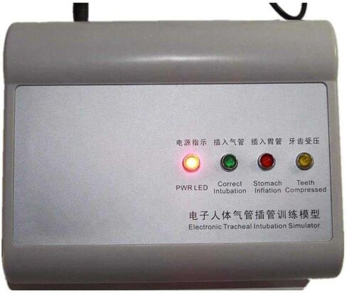 Training Manikin,Intubation Manikin Study Teaching Model Tracheal Intubation Teach Training Nurse Lab in Kuwait