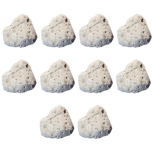 Pumice Rock Specimens (10 Pieces) - Metamorphic Rocks for Science Classrooms - Geologist Selected & Hand Processed - Class Pack, Education Collection in Kuwait