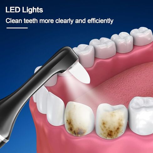 Tooth Polisher,Rechargeable Tooth Whitening Kit for Teeth Cleaning and Whitening, with 8 Brush Heads, LED Light, 5 Speed Modes Dental Polisher Personal Dental Care Kit for Home Use and Travel in Kuwait