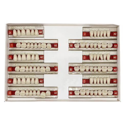 84 Pcs False Teeth Dental Complete Acrylic Resin Denture Teeth, 3 Sets Whole Teeth Synthetic Polymer Denture Tooth, 23 Shade A2 Upper + Lower Dental Materials for Replacement, DIY or Halloween in Kuwait
