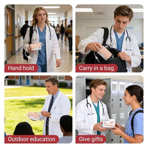 Medarchitect Portable Phlebotomy Practice Kit, IV Start Kit with Replaceable Parts and Storage Case, for Venipuncture and Blood Draw, for Nurses Medical Students and Training Institutions in Kuwait