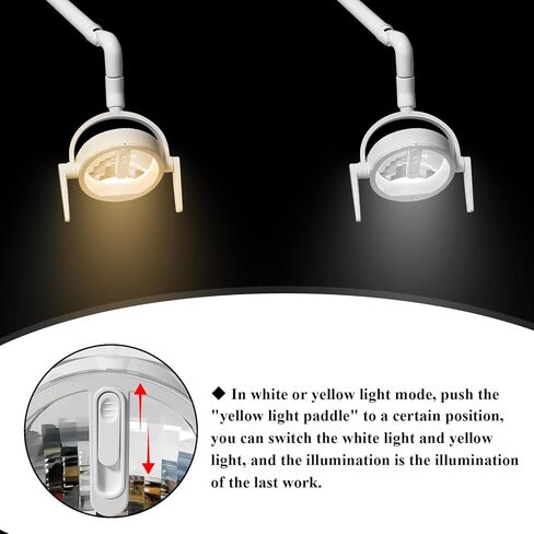 Wall Mounted Dental LED Operating Lamp White Yellow Adjustable Round Shadeless Light in Saudi Arabia