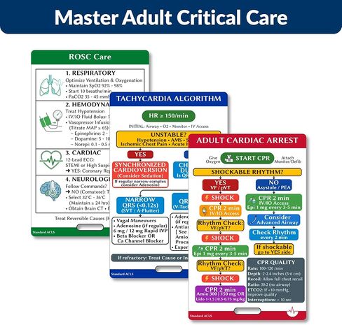2025 ACLS & PALS Badge Buddy Bundle - Adult & Pediatric Advanced Life Support Vital Signs Badge Card - Complete Reference for Emergency Nurses, ICU & Paramedics with Meds, Hs & Ts, Cardiac Arrest in Saudi Arabia