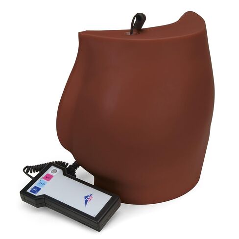 3B Scientific Buttock Injection Simulator P57D – Dark Skin Tone in Saudi Arabia
