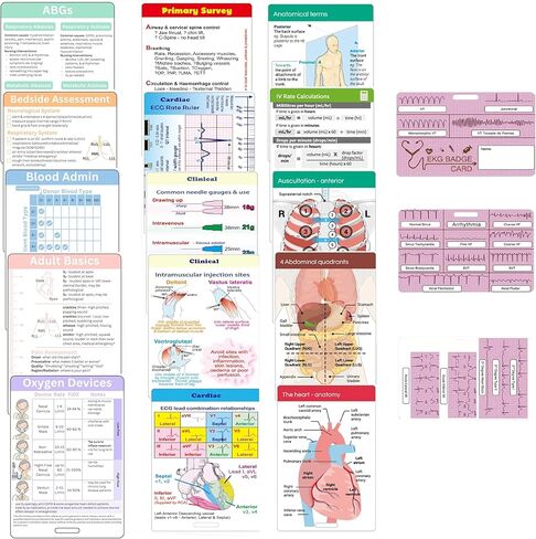 24 PCS Nursing Badge Reference Cards, Nursing School Essentials Student Gifts Success Bundle Supplies Nurse Must Haves, Great Gifts for Nursing Student Accessories, Pocket Size in Saudi Arabia