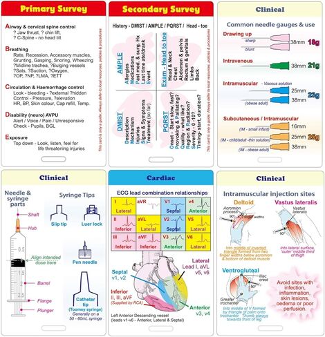 24 PCS Nursing Badge Reference Cards, Nursing School Essentials Student Gifts Success Bundle Supplies Nurse Must Haves, Great Gifts for Nursing Student Accessories, Pocket Size in Saudi Arabia