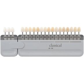 1 Set Classical Shade Guide with Bleached Shades Clip in Kuwait