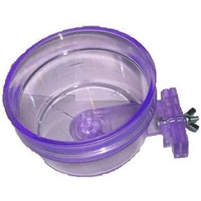 Lixit Cbb-20 Critter Brite Crock, Assorted colors, 20 Oz in Saudi Arabia