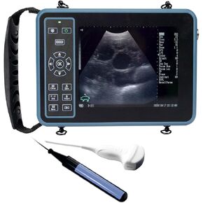 DAWEI Vet Ultrasound Machine for Pregnancy Veterinary Ultrasound Scanner with 3.5Mhz Convex Probe for Sheep，Goat,Pig in Kuwait