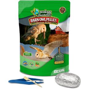 حبيبات بومة الحظيرة للفصل الدراسي 10 عبوات (متوسطة) - مجموعة تشريح للبيئة والعلوم والتكنولوجيا والهندسة والرياضيات - تتضمن ملقط ومعاول ودليل المعلم - نشاط علمي عملي in Kuwait