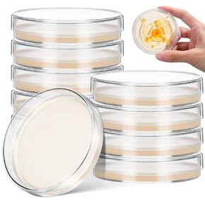 Angoily 10Pcs Science Prepoured Agar Plates, 2. 75 Inch Petri Dishes with Agar, Sterilized, for Science Experiments, Thick Clear Petri Dishes for Laboratory in Kuwait