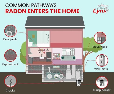 EPA-Approved Radon Test Kit for Home, Lab Analysis Included | Detects Radon Gas Levels in Basements & Living Spaces | Easy-to-Use Air Quality Test with Lab Report & Discounted Shipping| Radon Detector in Kuwait